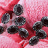 Buttons (Set of 10) - Pewter Studs | Metal | 11mm | Deep Pink